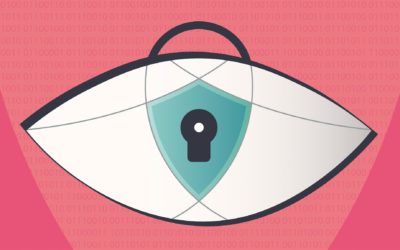 Digital privacy as a right: what are its limits and how to protect it?